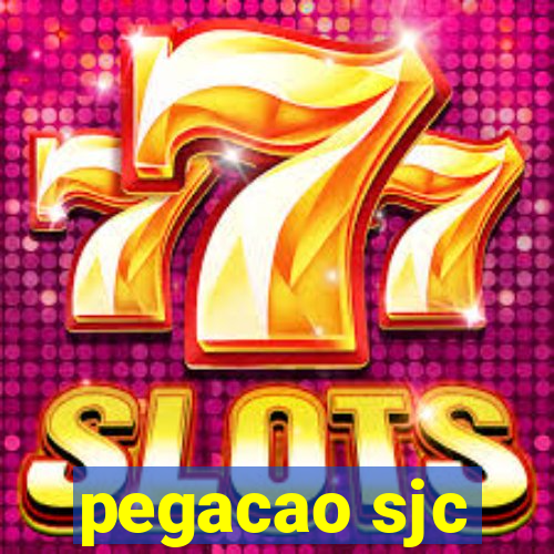 pegacao sjc